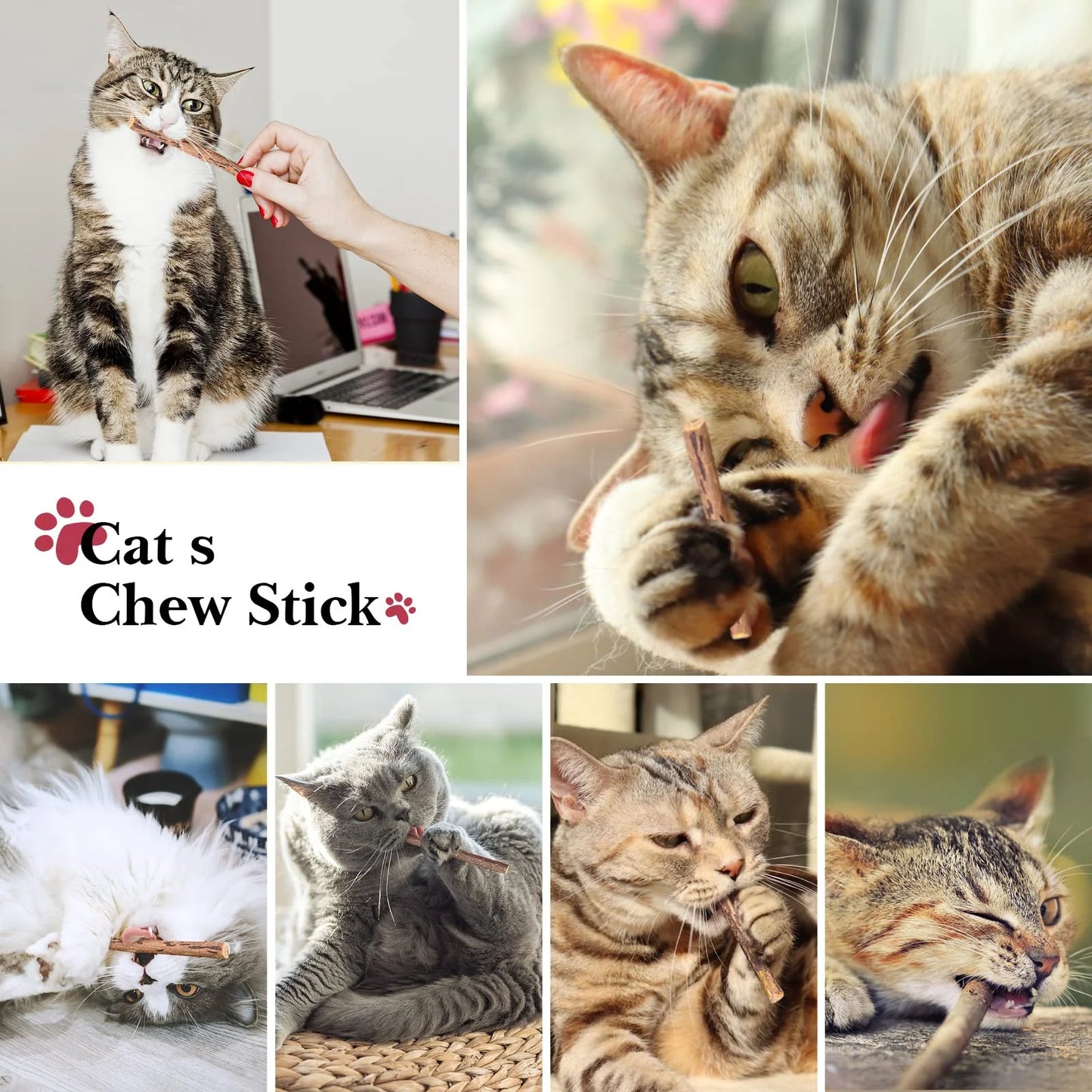 Collage of cats interacting with a 'Cat's Chew Stick' product.