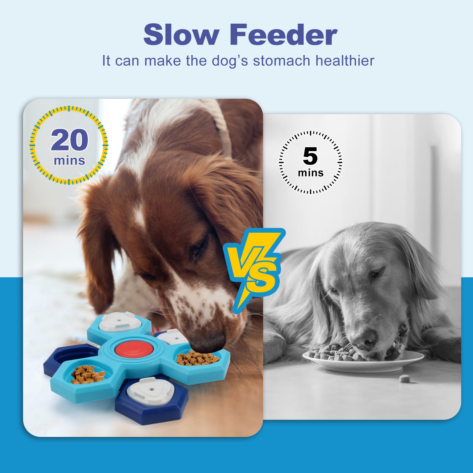Dog using 4-layer slow feeder bowl for enrichment and slow eating slow feeder benefits