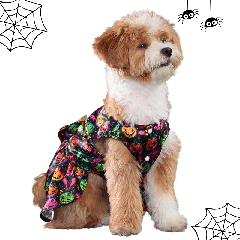 Dog wearing a Halloween-themed outfit with pumpkins and ghosts on a white background.