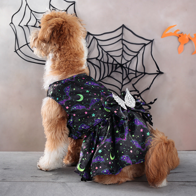 Dog wearing a Halloween-themed costume with spider webs and cobwebs in the background.