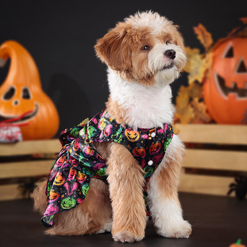 Dog wearing a Halloween-themed outfit with pumpkins in front of pumpkins on a dark background