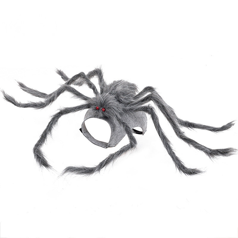 Gray spider mask with red eyes on a white background
