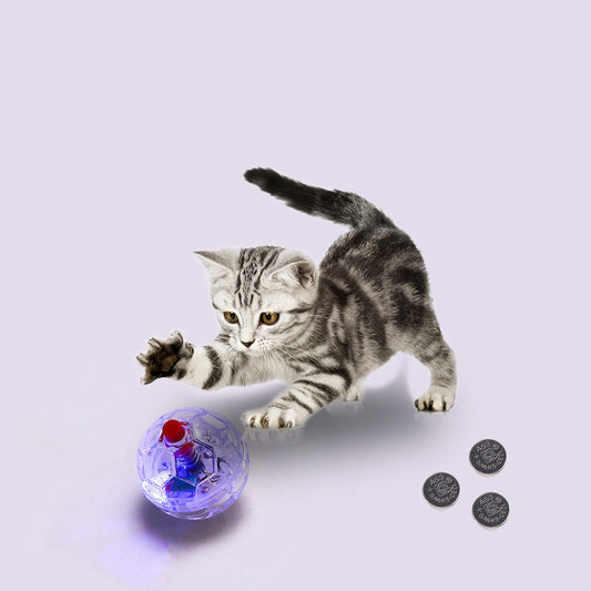 A cat playing with a Glowing Interactive Pet Toy Ball for Cats and Dogs and a set of batteries next to it.
