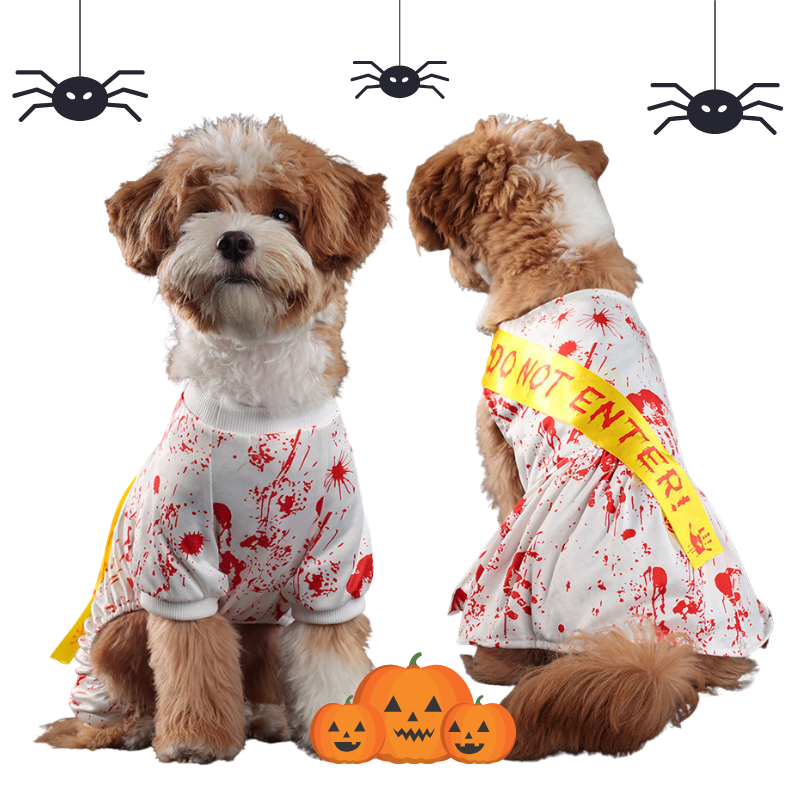 Two dogs wearing Halloween-themed costumes with blood splatter and 'Do Not Enter' sign, surrounded by pumpkins and spider decorations.
