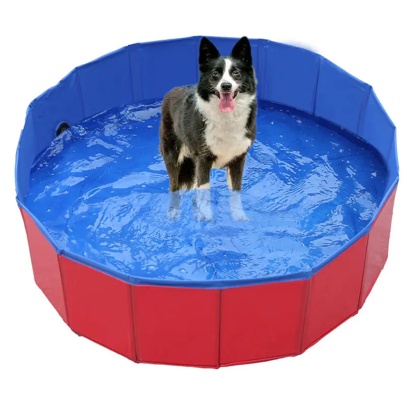 Foldable Dog Pool – Large Pet Swimming and Bathing Supplies. - red variant Happy Pets