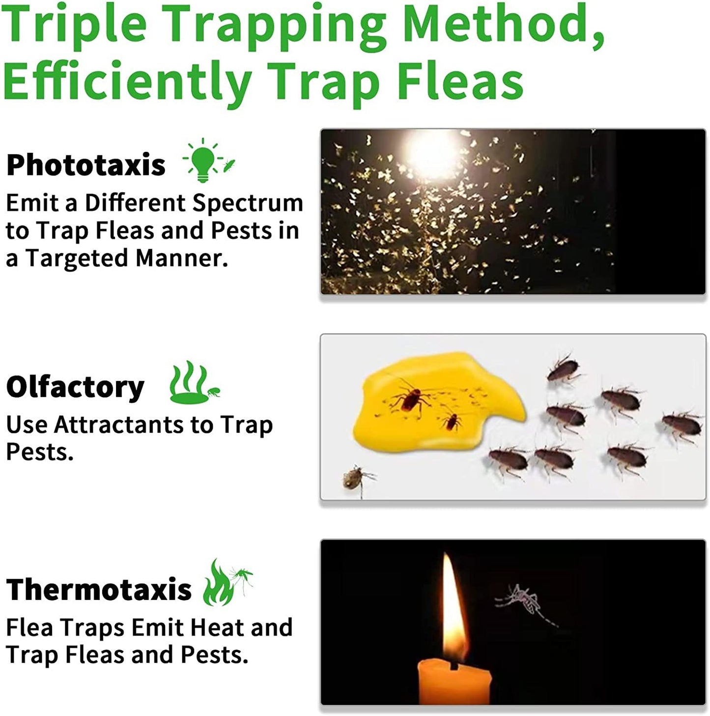 Diagram explaining the triple trapping method for efficiently trapping fleas using phototaxis, olfactory, and thermotaxis.