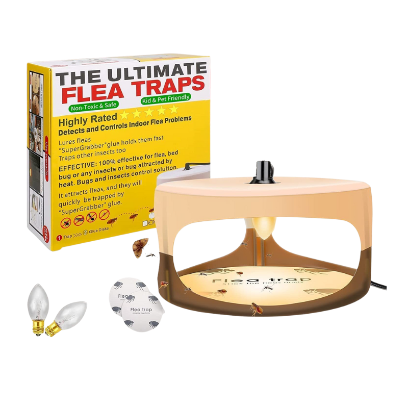 Flea trap with packaging and light bulbs on a white background