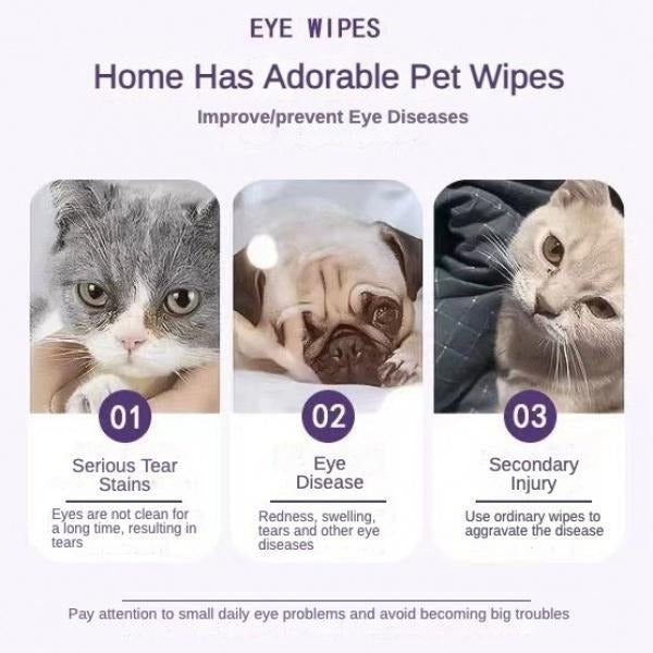Various pets using Pet Eye Wipes to improve and prevent eye diseases, showcasing the wipes’ effectiveness in cleaning and soothing the eyes.