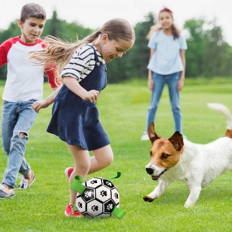 Children playing with a dog on a grassy field