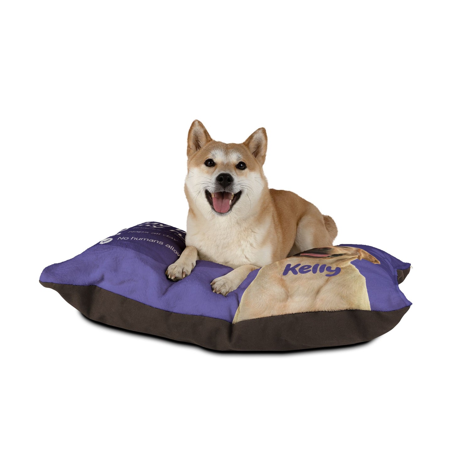 Dog lying on a purple and brown pet bed with 'Kelly' printed on it.
