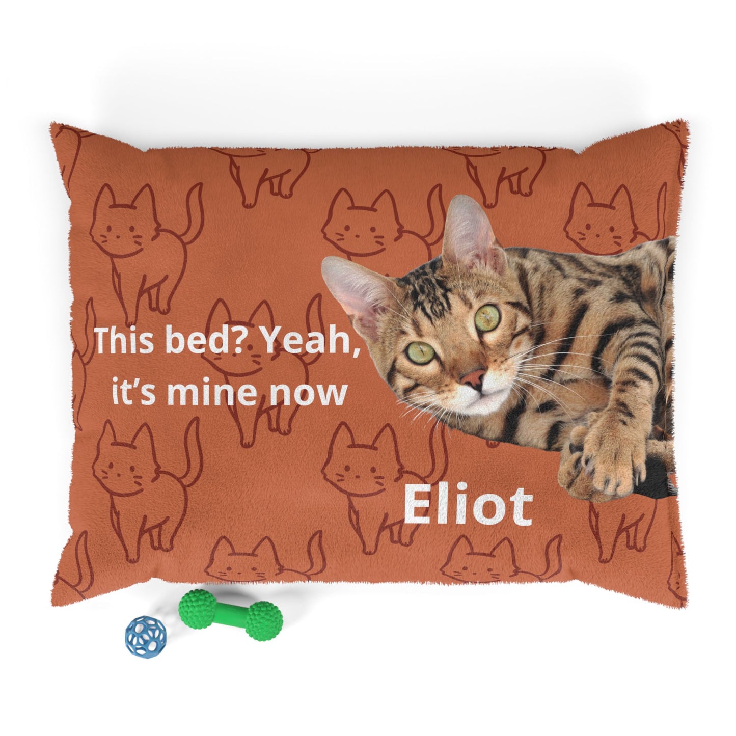 Cat-themed pillow with a cat's face and text 'This bed? Yeah, it's mine now Eliot' on an orange background.
