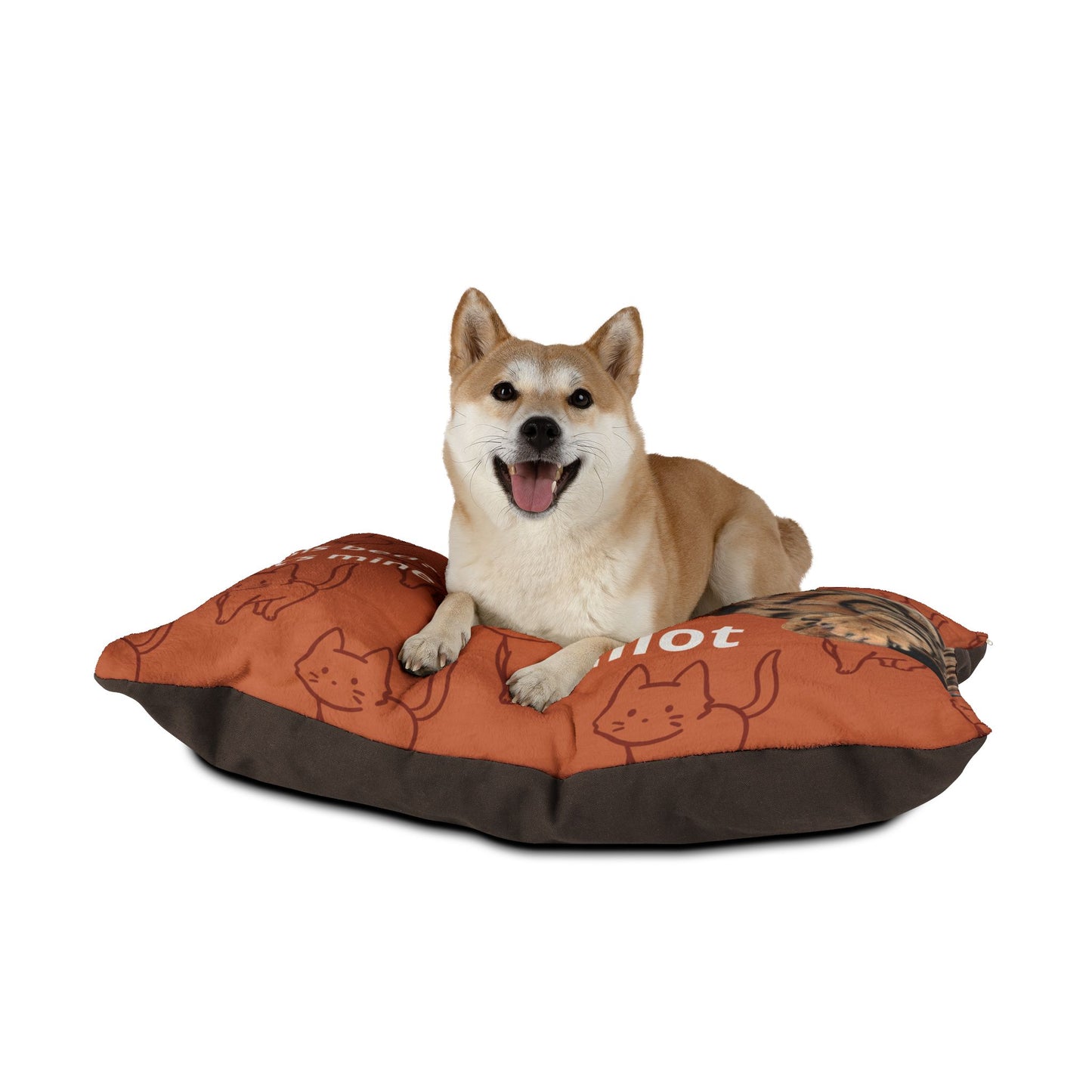 Dog lying on an orange and brown pet bed with cartoon cats on a white background