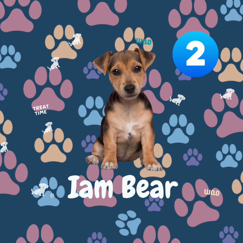 Puppy with a crown on a blue background with paw prints and text