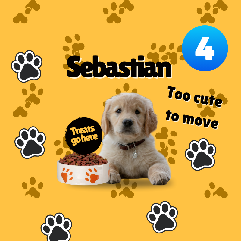 Puppy with a bowl of treats on a yellow background with paw prints and text