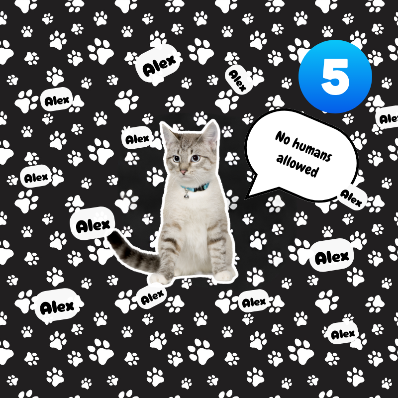 Cat with 'No humans allowed' sign on a black background with paw prints and 'Alex' text