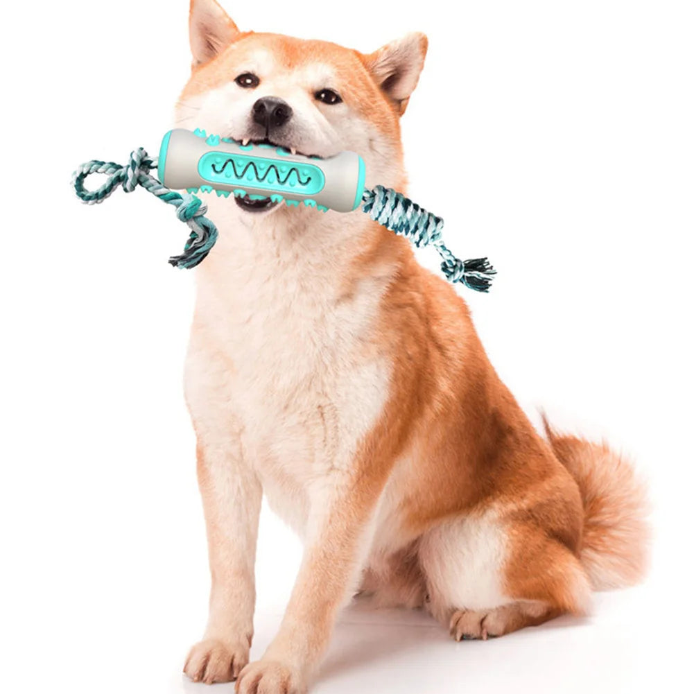 Dog happily chewing the Dog Dental Chew Toy, designed to clean teeth, remove tartar, and strengthen the jaw while providing fun and engaging play.