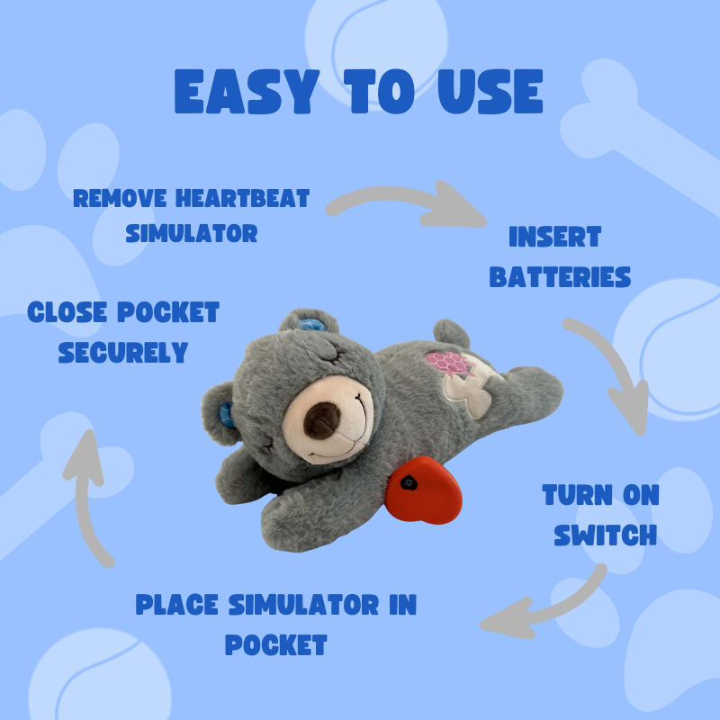 Gray teddy bear with a red heart on a blue background with text on how to use it.