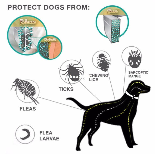 ProGuard Flea & Tick Collar showing protection against fleas, ticks, larvae, and lice, providing comprehensive pest control for pets.