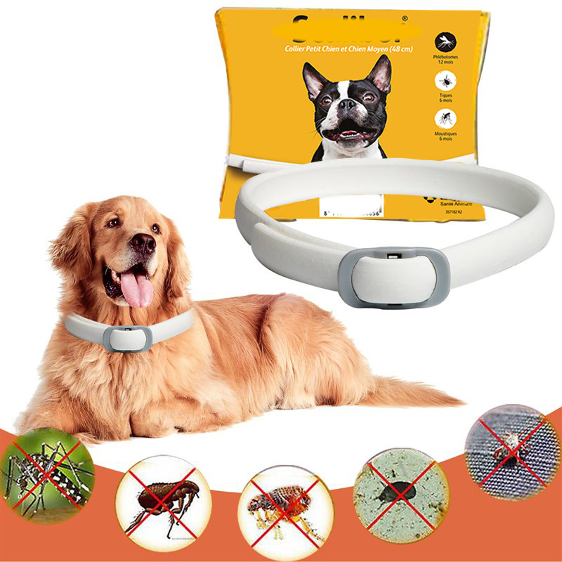 Dog wearing the Scalibor Flea & Deworming Collar, highlighting its effectiveness against fleas, ticks, sandflies, and mosquitoes.
