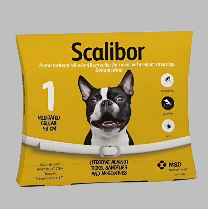 Front view of the Scalibor Flea & Deworming Collar for puppies, showcasing its adjustable fit and design for effective pest control english