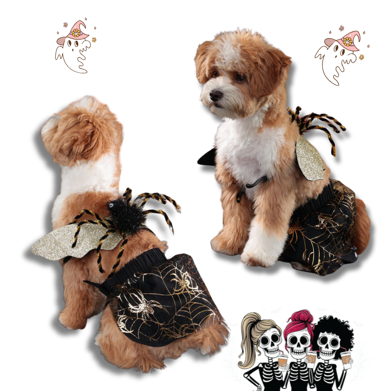 Two dogs wearing spider-themed costumes on a white background