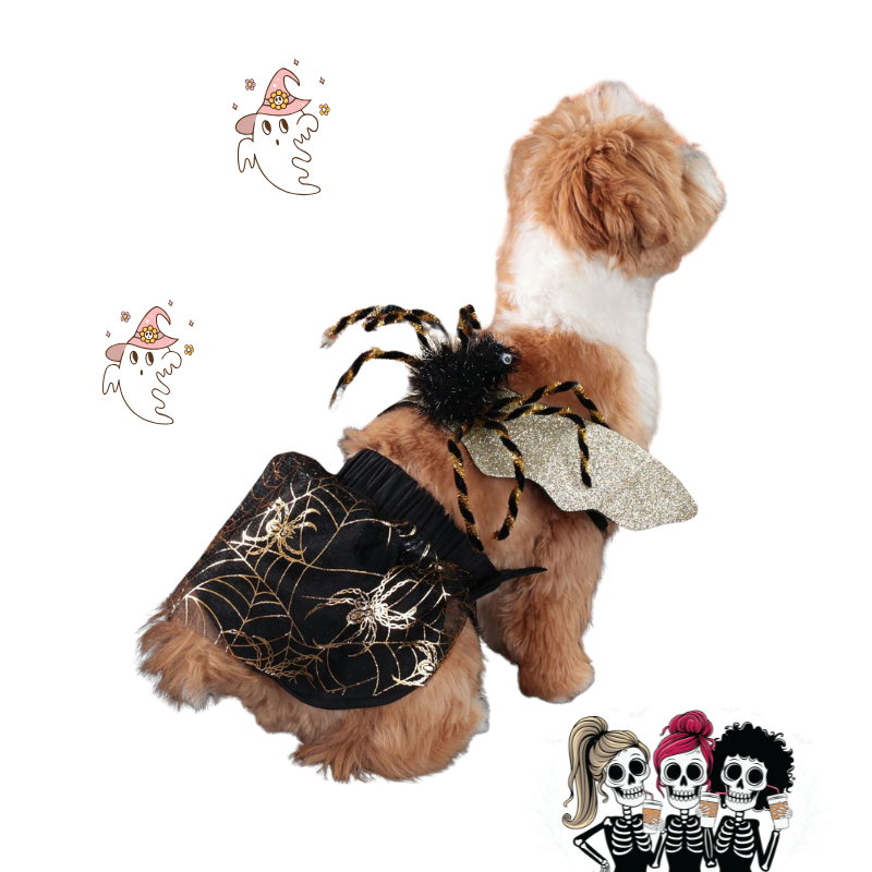 Dog wearing a Halloween-themed spider and web costume on a white background