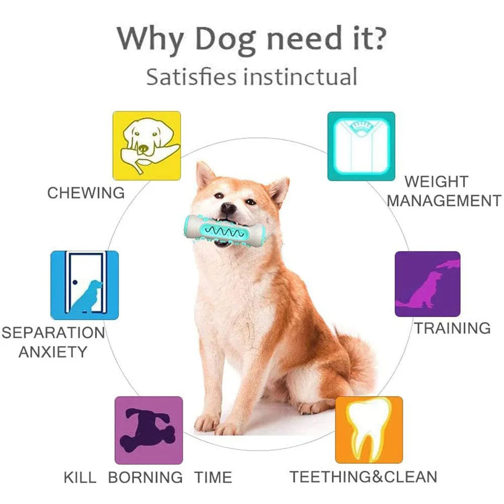 Explanation of why dogs need the Dog Dental Chew Toy: to clean teeth, remove tartar, strengthen jaws, improve dental health, and provide fun playtime.