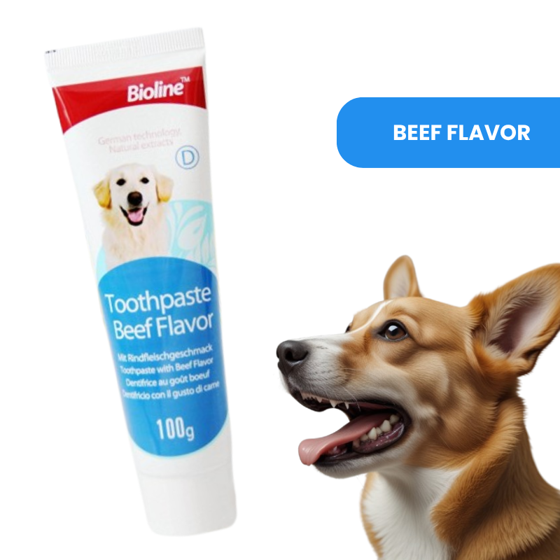 Bioline dog toothpaste in natural formula, shown in beef, mint, and orange flavors — designed for plaque removal, fresh breath, and gum care beef flavor