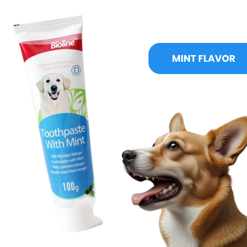 Bioline dog toothpaste in natural formula, shown in beef, mint, and orange flavors — designed for plaque removal, fresh breath, and gum care mint flavor