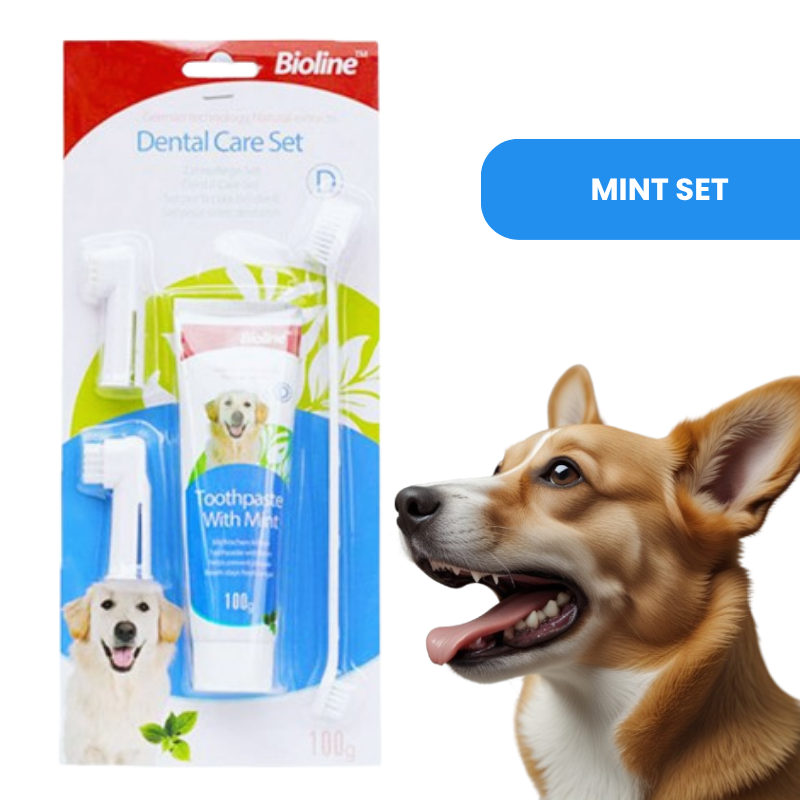 Bioline dog toothpaste in natural formula, shown in beef, mint, and orange flavors — designed for plaque removal, fresh breath, and gum care mint set