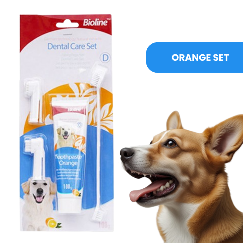 Bioline dog toothpaste in natural formula, shown in beef, mint, and orange flavors — designed for plaque removal, fresh breath, and gum care orange set