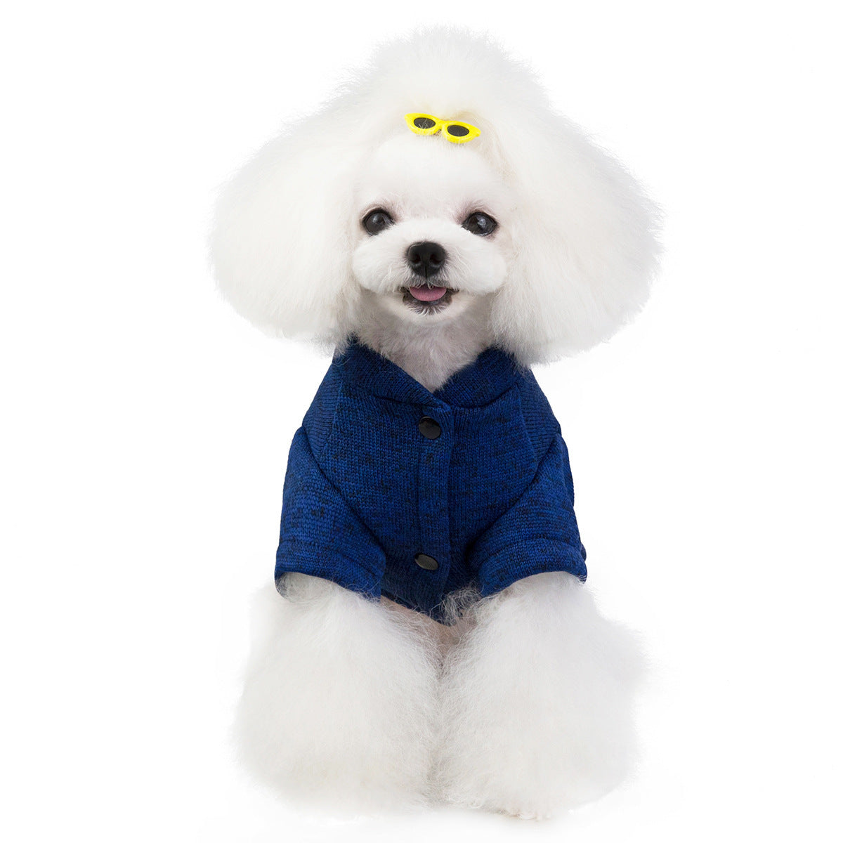 Small dog wearing blue Pet Clothes for Dogs and Cats front view