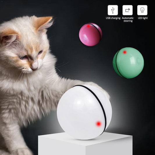 Cat playing with interactive LED Laser Cat Toy, showcasing all available color variants