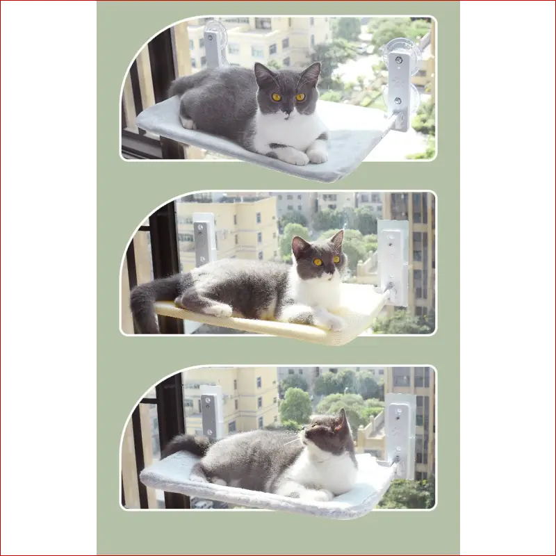 Cat Glass Hammock - Happy Pets