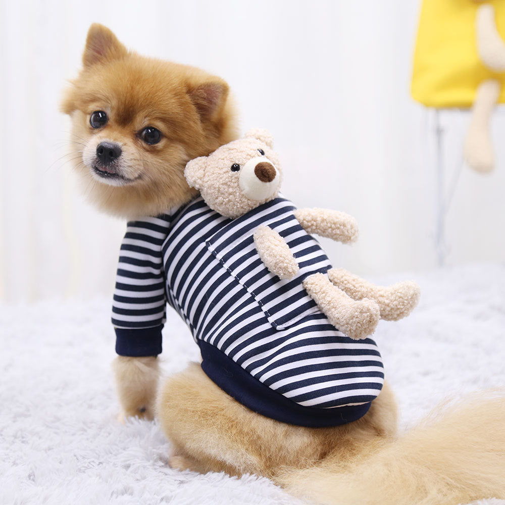 Adorable dog wearing a blue Pet Sweater for Small Dogs and Cats perfect for small pets. Soft and comfortable for spring main image
