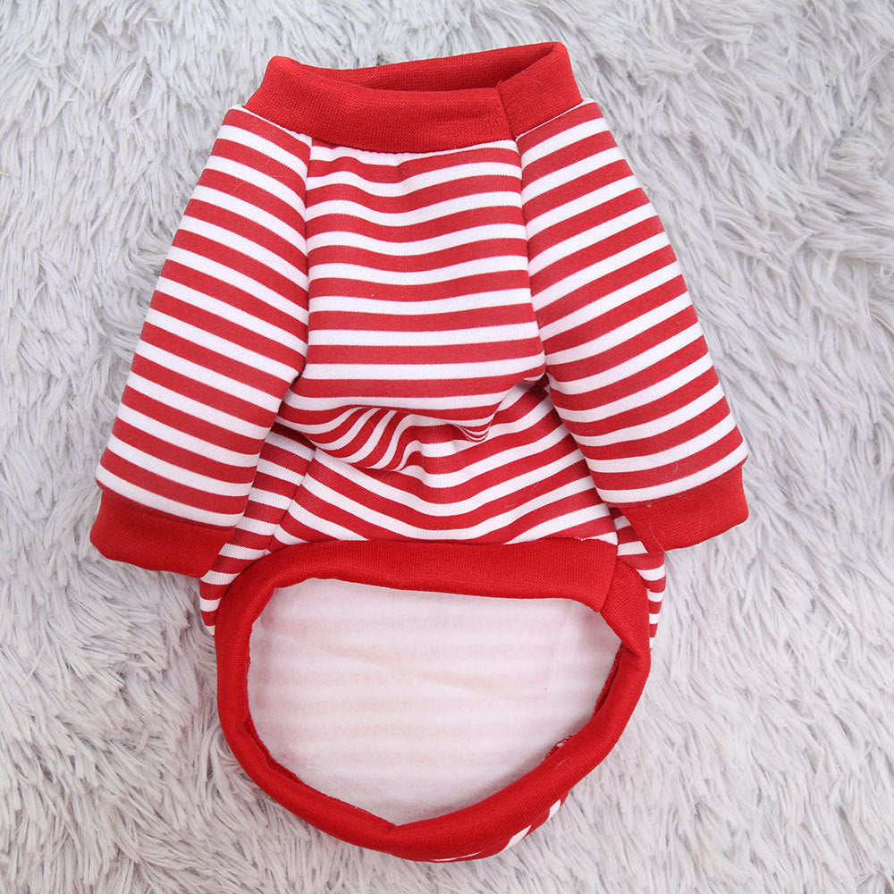 Adorable dog wearing a red Pet Sweater for Small Dogs and Cats perfect for small pets. Soft and comfortable for spring front side