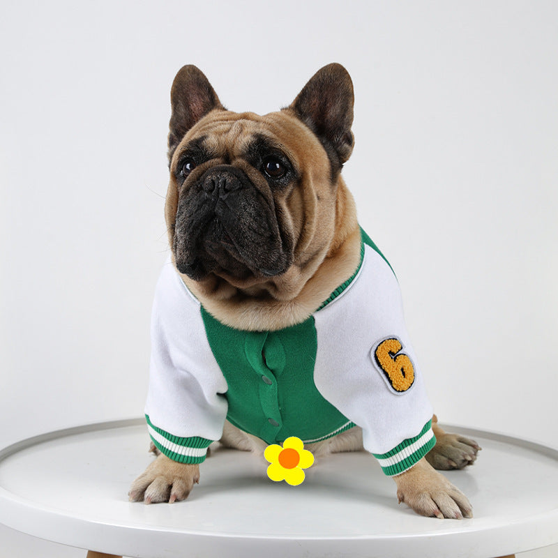 Dog wearing a green Pet Baseball Shirt for Dogs and Cats showcasing the front view of this cozy and stylish cotton pet clothing for cooler weather.