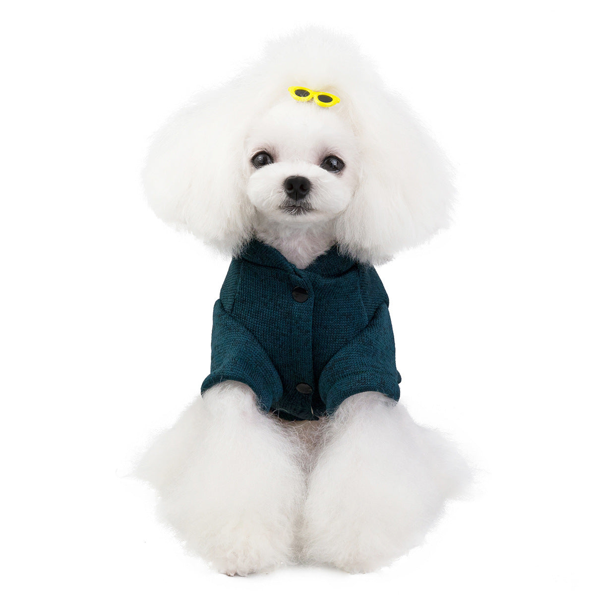 Small dog wearing green Pet Clothes for Dogs and Cats front view
