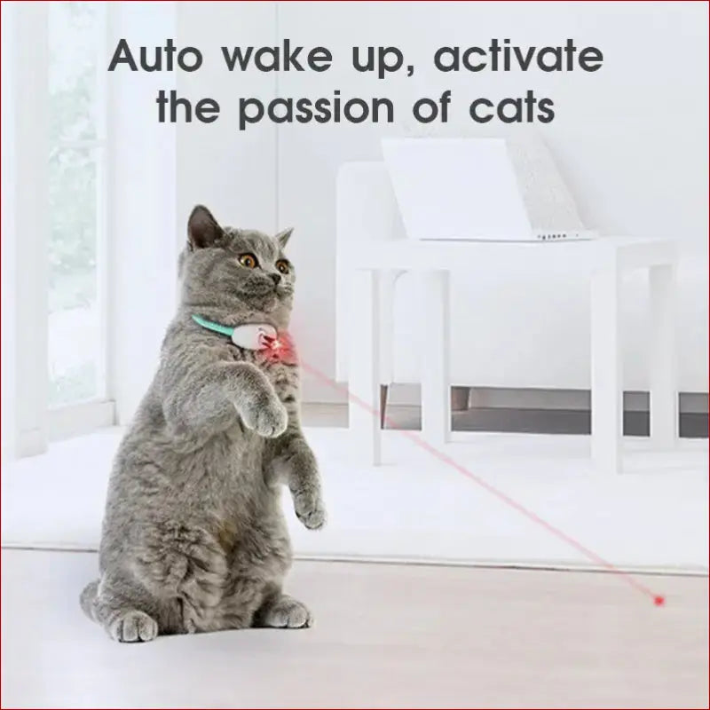 Interactive cat toy. Smart pet collar. Pet Toys. - Happy Pets