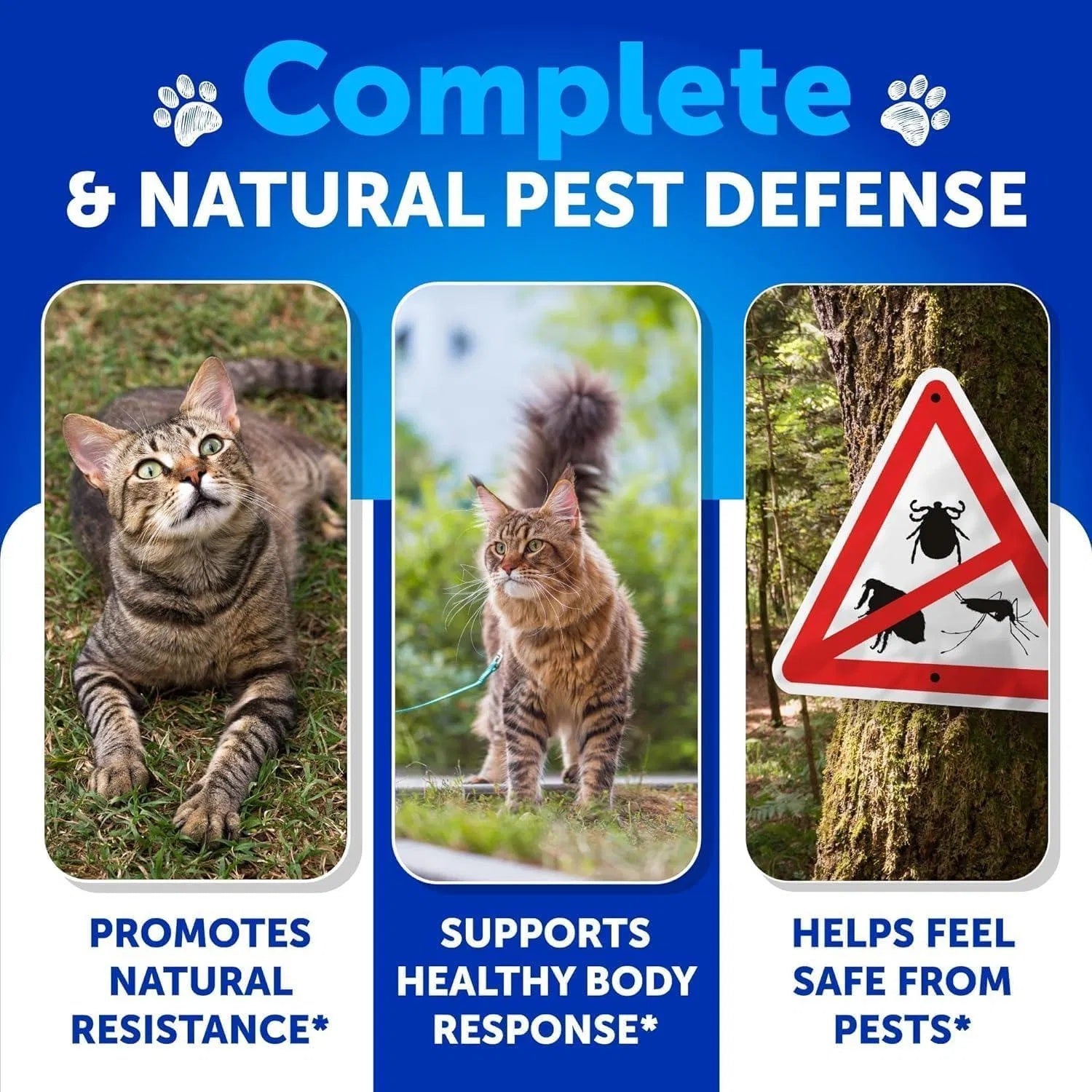 Natural Flea and Tick Chews for Cats – 132 soft treats bottle natural defense