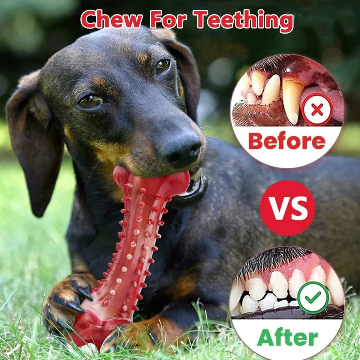 Red bone-shaped natural rubber dog chew toy with meat flavor, durable for teething and aggressive chewers before and after