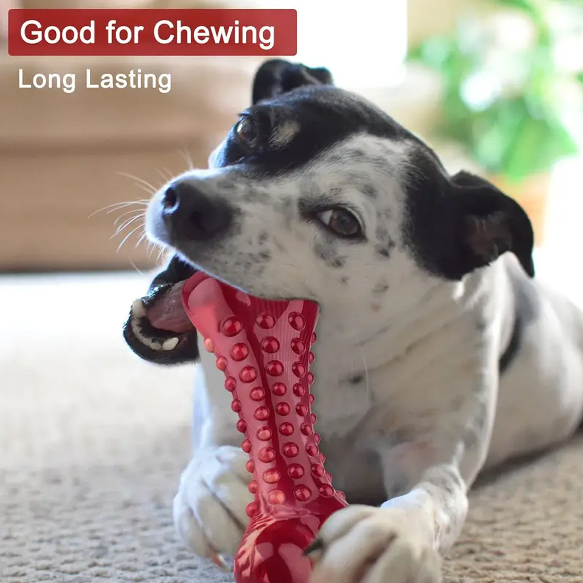 Red bone-shaped natural rubber dog chew toy with meat flavor, durable for teething and aggressive chewers good for chewing long lasting