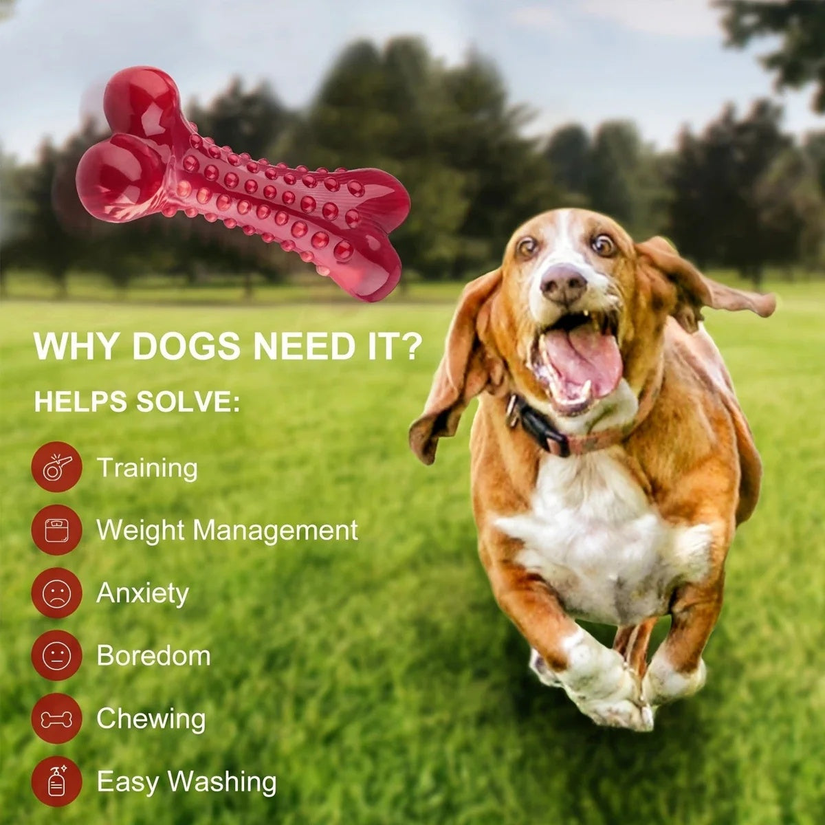 Red bone-shaped natural rubber dog chew toy with meat flavor, durable for teething and aggressive chewers why dogs need it?