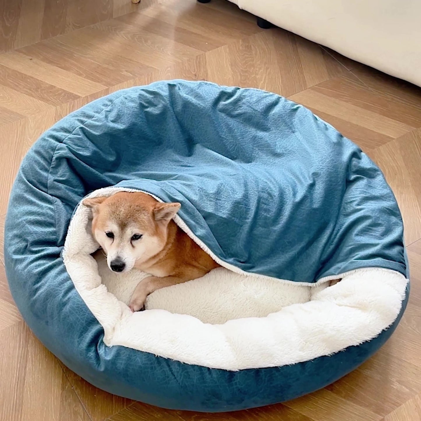 Small dog peacefully sleeping in orthopedic dog bed, warm and cozy winter pet bed, waterproof and stain resistant