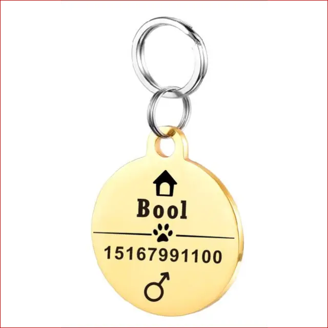 Personalized Dog ID Tag. Pet Collar. Outdoor Pet Safety. - Happy Pets
