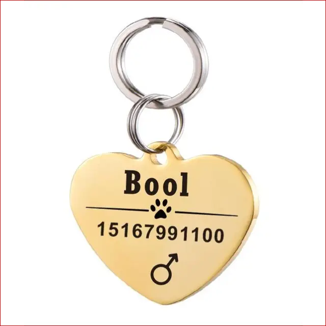 Personalized Dog ID Tag. Pet Collar. Outdoor Pet Safety. - Happy Pets