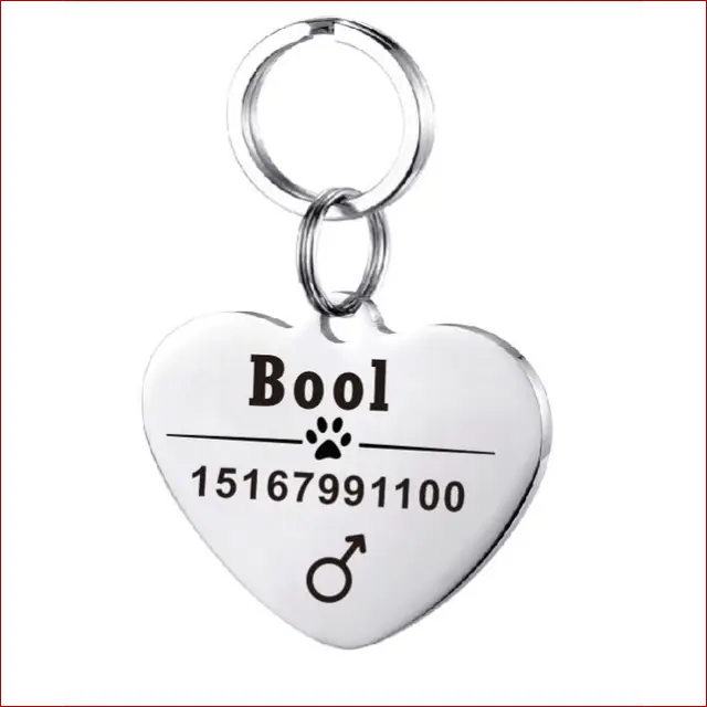 Personalized Dog ID Tag. Pet Collar. Outdoor Pet Safety. - Happy Pets