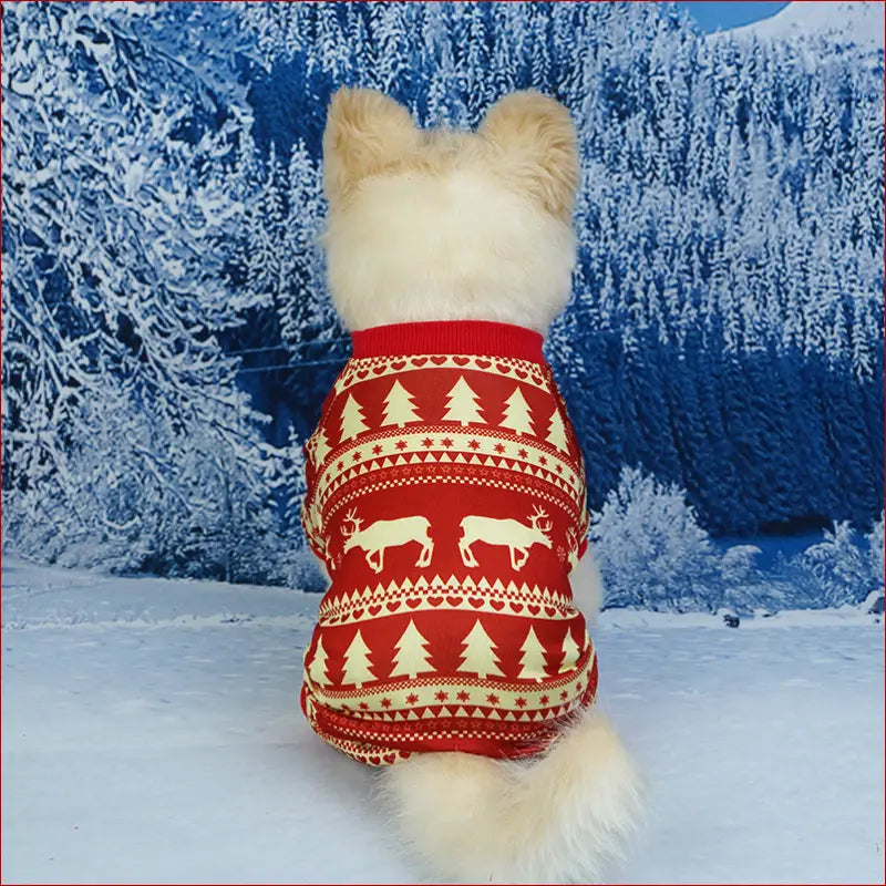 Pet Christmas Clothes. Festive Christmas Outfit for Pets. - Happy Pets