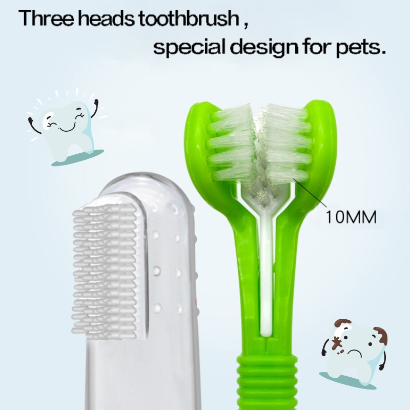 Pet dental care kit with toothbrushes and silicone finger brushes, designed for dogs and cats, displayed clearly for easy at-home oral hygiene design.