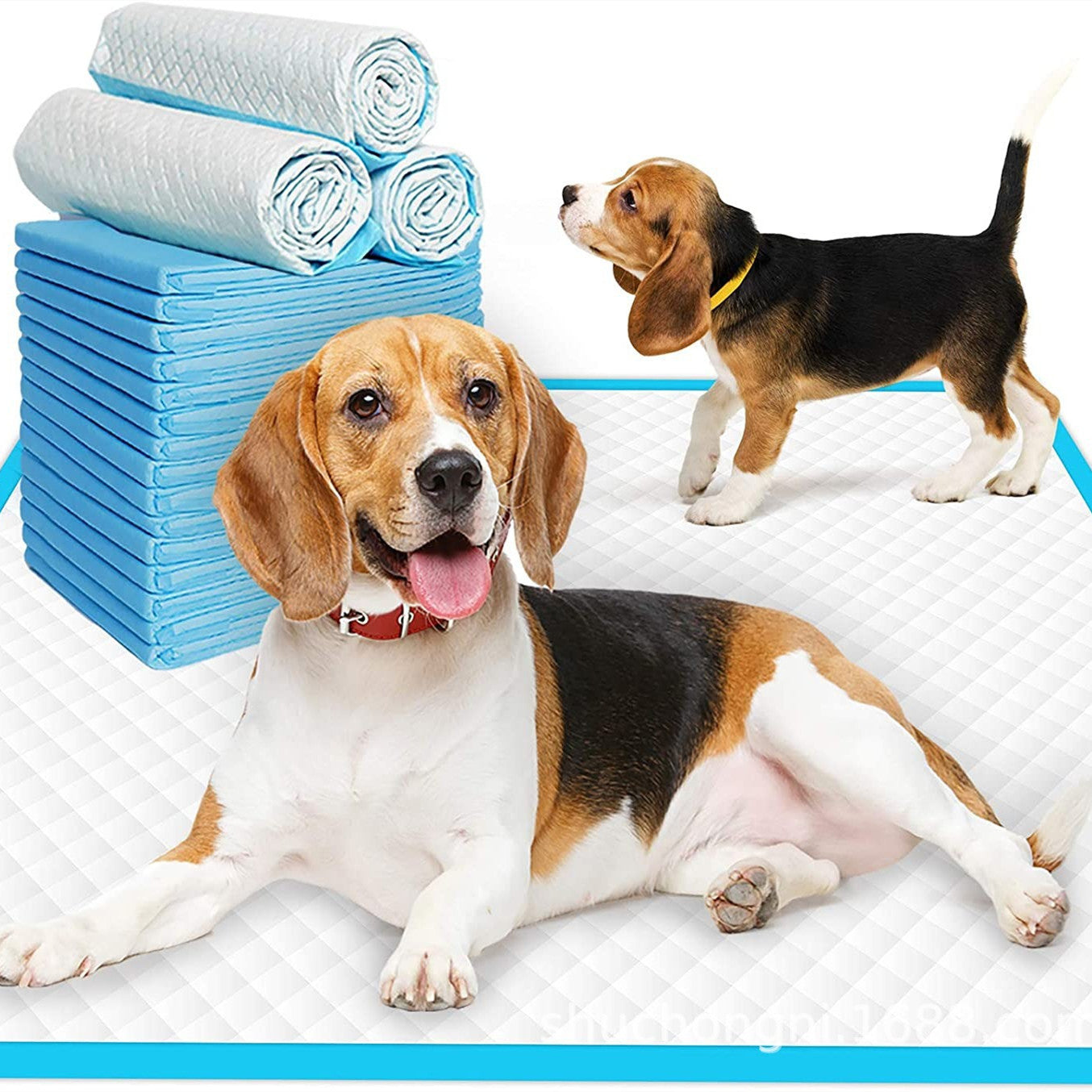 Cover image featuring multiple Disposable Pet Pads and two dogs enjoying a clean and comfortable environment